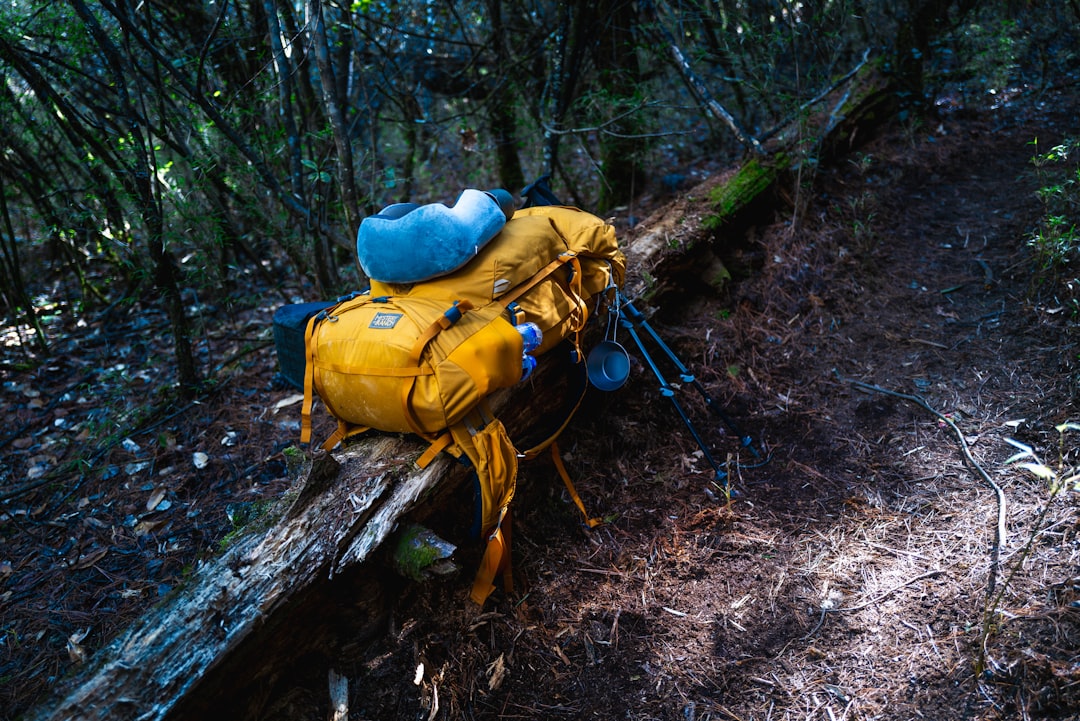 Essential Travel Supplies for Every Adventurer’s Journey